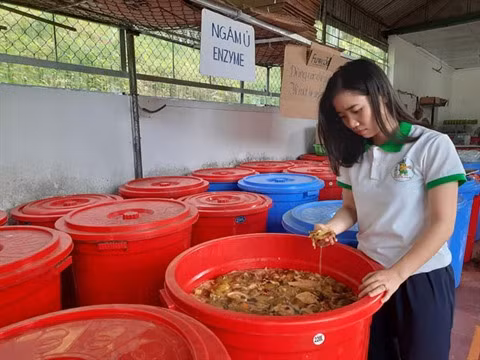 Transformer des déchets en produits utiles, le pari d’une femme ảnh 1