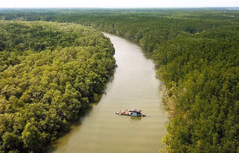 Approbation d’un projet sur la protection et le développement des forêts dans les zones côtières ảnh 1 Approbation d’un projet sur la protection et le développement des forêts dans les zones côtières ảnh 1