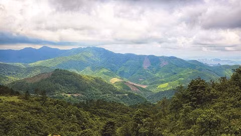 Ky Thuong, une destination attrayante à Quang Ninh ảnh 1