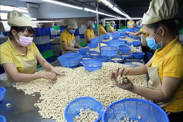 De nouvelles opportunités pour les relations commerciales Vietnam – Suisse ảnh 3