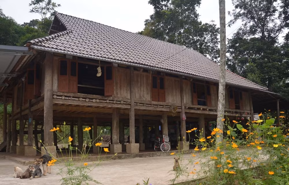 Maisons sur pilotis uniques des Muong, une particularité de Thanh Hoa ảnh 1