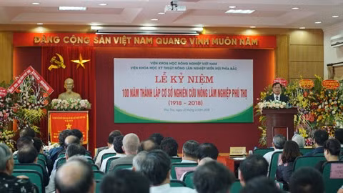 Le NOMAFSI célèbre son centenaire: thé et coopération France - Vietnam ảnh 1