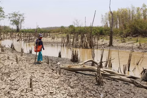 La gestion de l’eau, question clé pour le futur ảnh 1