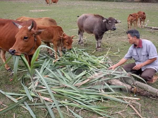 L'ASEAN et la Chine coopèrent dans la mise en oeuvre des ODD ảnh 1