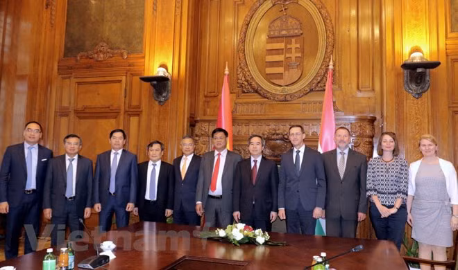 Le Vietnam et la Hongrie intensifient leur coopération multiforme ảnh 1