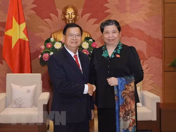 Renforcement de la coopération parlementaire Vietnam-Laos ảnh 1