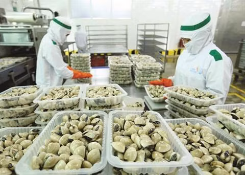 Le CPTPP profite encore peu au Vietnam ảnh 1