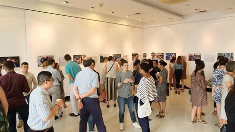 Journée du Volontariat français au Vietnam 2019 ảnh 2