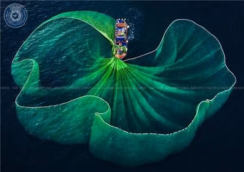 Le Vietnam remporte 26 prix au 10e concours international de photos d’art ảnh 1