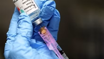 Un vaccin vietnamien contre la maladie de l’oreille bleue ảnh 1