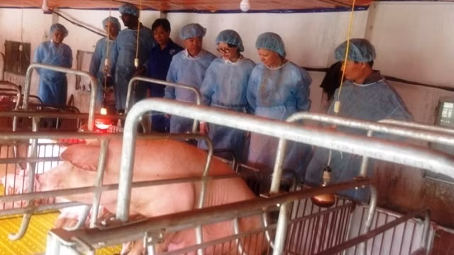 Rôle de la mécanisation dans l'agriculture à Hanoi ảnh 1
