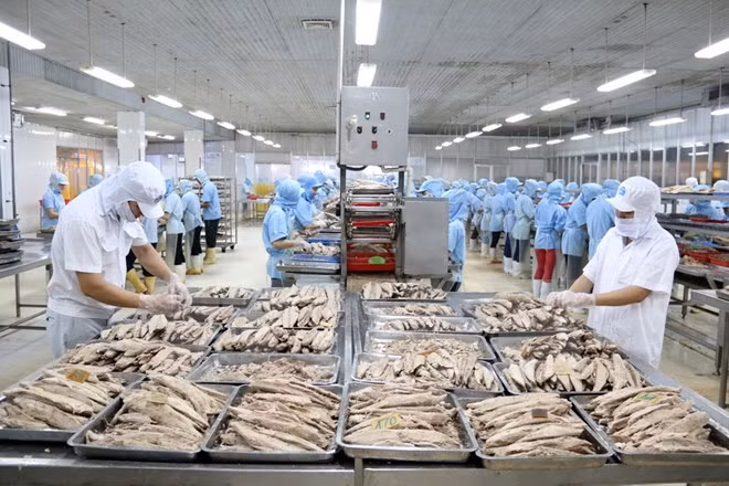 Renforcement de la coopération intégrale Vietnam-États-Unis ảnh 1