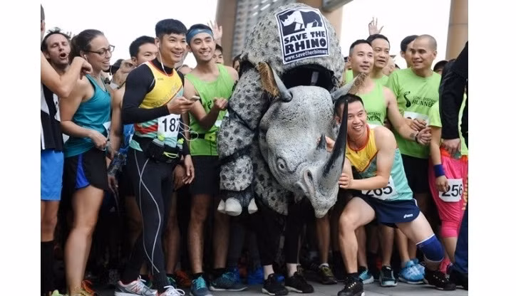 Hanoi : "Course pour les rhinocéros" ảnh 1