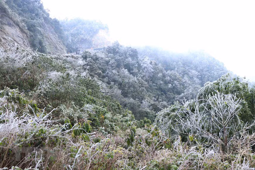Chutes de neige dans la province de Lao Cai ảnh 1 Chutes de neige dans la province de Lao Cai ảnh 1
