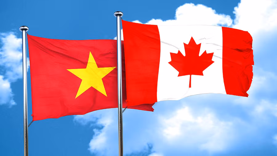 Exportations vers le Canada: nécessiter d’exploiter pleinement les opportunités ảnh 3