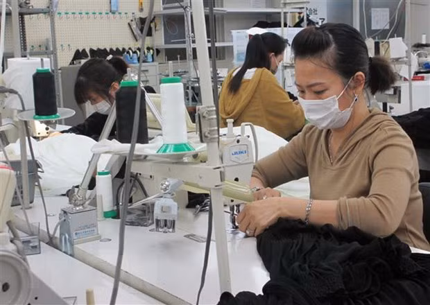 Les Vietnamiens deviennent la deuxième plus grande communauté étrangère au Japon ảnh 1