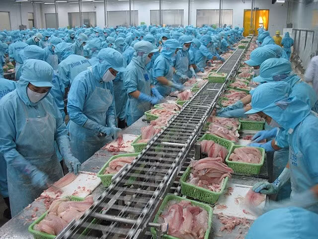De belles perspectives pour les exportations de produits aquatiques en 2021 ảnh 1
