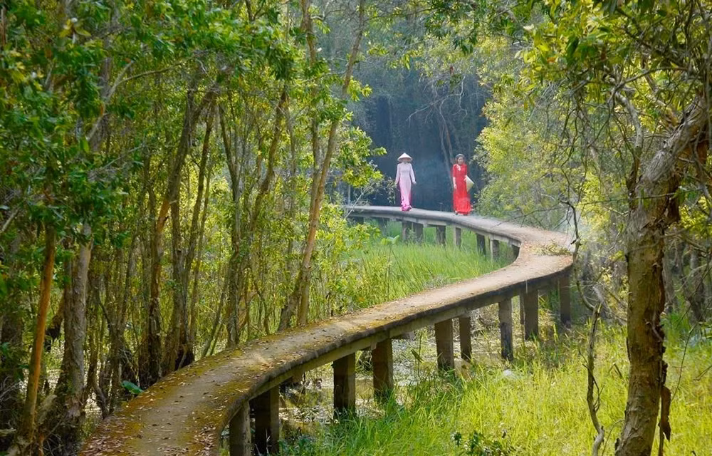 Journée mondiale de l'environnement: Conservation des écosystèmes dans le delta du Mékong ảnh 1