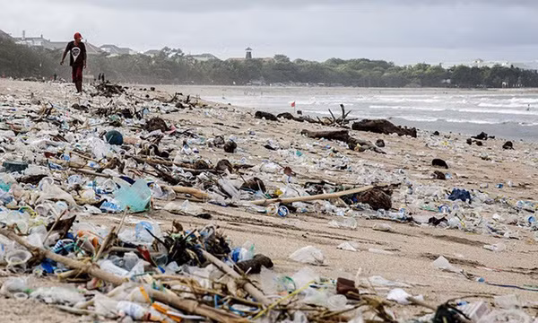 L’Indonésie déterminé à réduire les déchets plastiques ảnh 1 L’Indonésie déterminé à réduire les déchets plastiques ảnh 1
