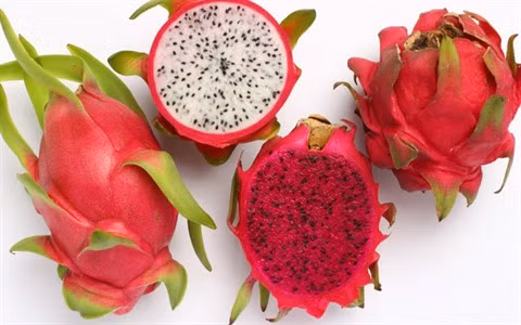 Le fruit du dragon, un filon économique à Tiên Giang ảnh 3
