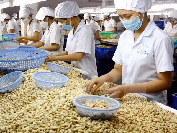 Opportunités d’exportations nippones et européennes pour les produits agricoles du Vietnam ảnh 1