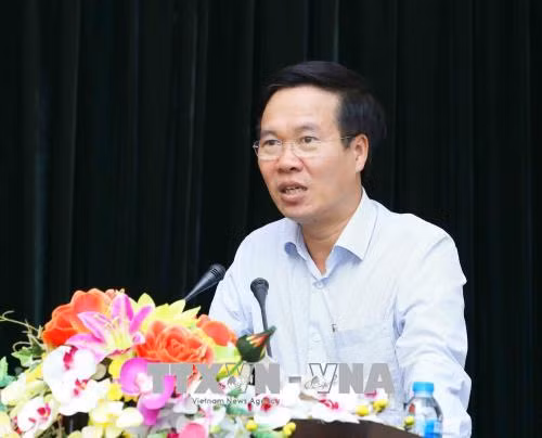 Promotion du rôle de passerelle d’amitié des organes de représentation du Vietnam à l’étranger ảnh 1
