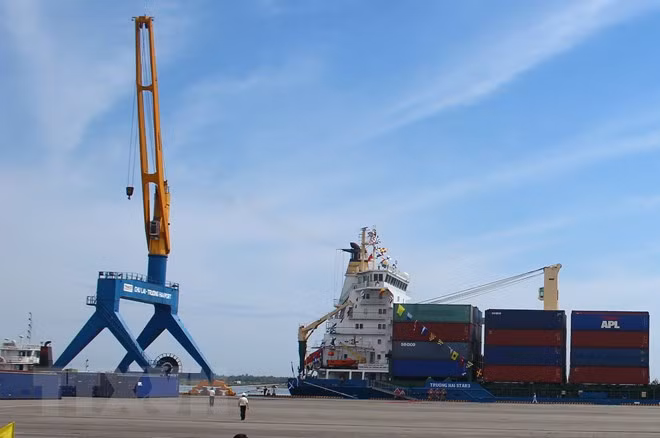 Performance logistique : le Vietnam progresse dans le classement de la BM ảnh 1