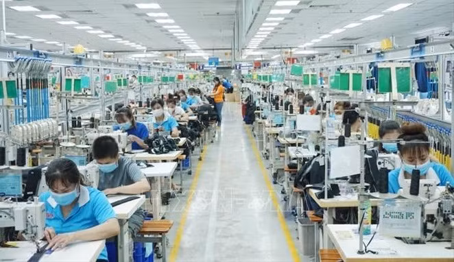 Vers un développement global et durable du marché du travail ảnh 1