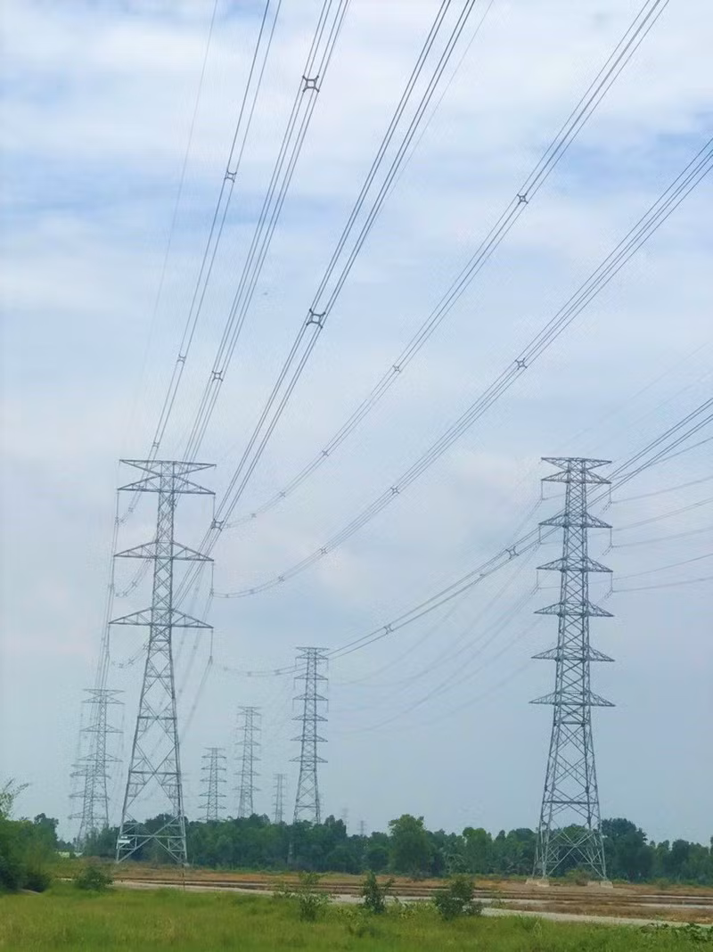 Tien Giang accordera plus de 200 milliards de dongs pour moderniser son système électrique ảnh 2