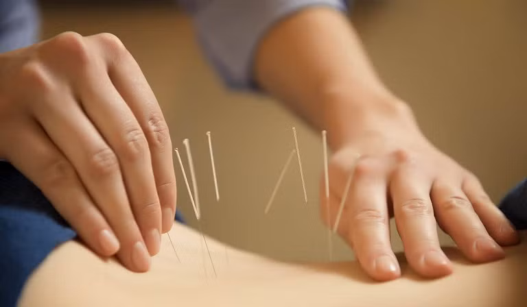 Le Vietnam et le Japon renforcent leur coopération dans la médecine traditionnelle ảnh 1