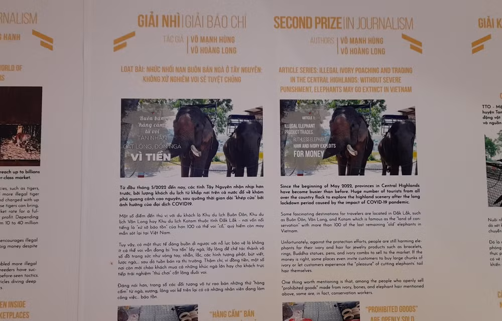 Journalisme : Remise des VIEWS Awards 2022 sur la protection des animaux sauvages ảnh 1