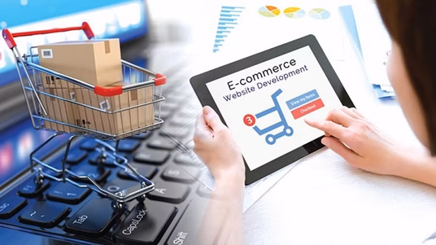  Le commerce électronique continuera de croître dans la période post-COVID-19 ảnh 1