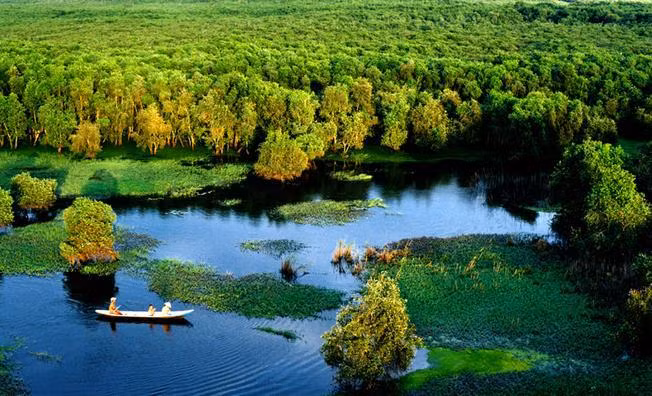 An Giang approuve un projet d'écotourisme dans la forêt de melaleuca de Tra Su ảnh 1