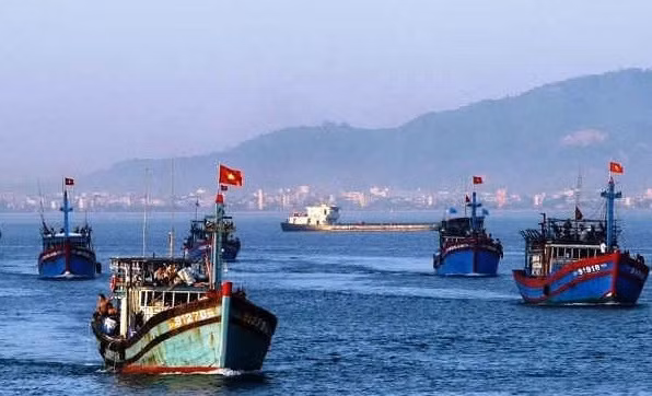 Ca Mau se joint aux efforts nationaux de lutte contre la pêche INN ảnh 1