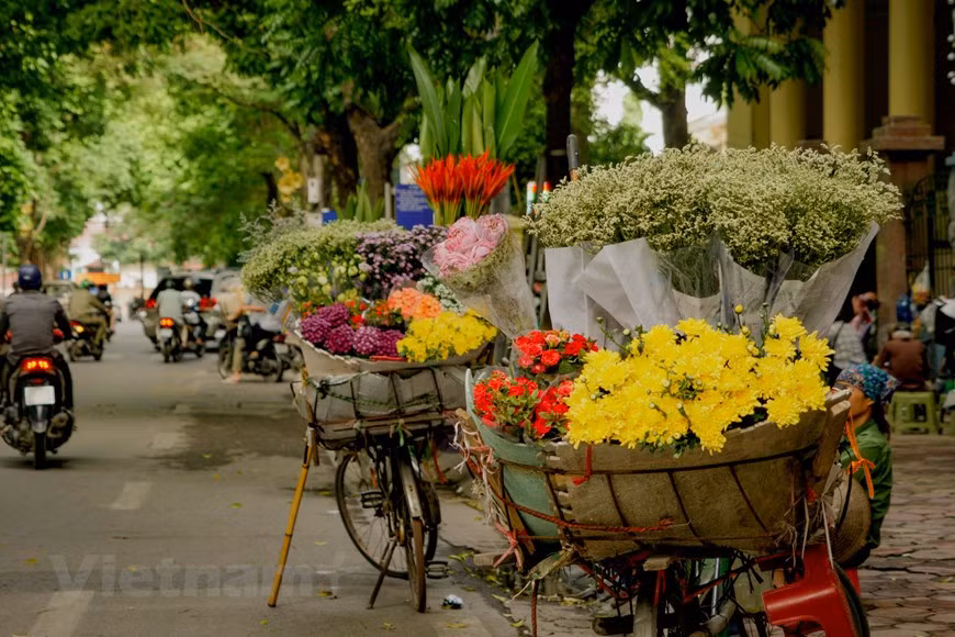 Hanoï et ses quatre saisons de fleurs ảnh 1