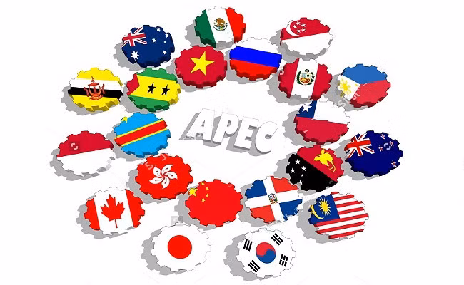 Le Vietnam s'attend à ce que l'APEC continue d'affirmer son rôle en tant que forum régional clé ảnh 1 Le Vietnam s'attend à ce que l'APEC continue d'affirmer son rôle en tant que forum régional clé ảnh 1