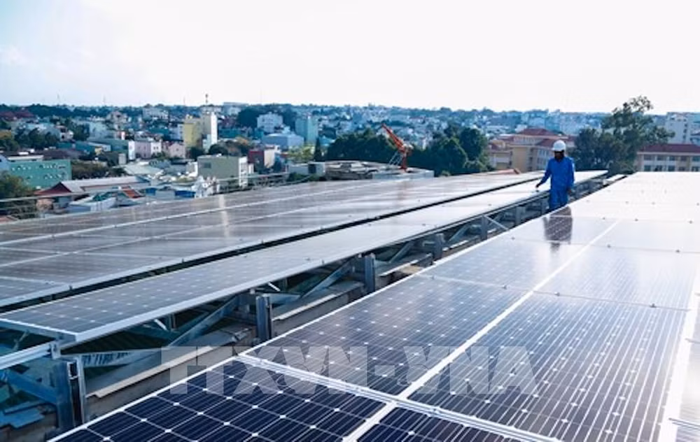 Des entreprises vietnamiennes et écossaises développent conjointement de l'énergie solaire ảnh 1