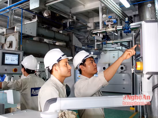 Inauguration d’une usine de farine animale à Nghe An ảnh 1