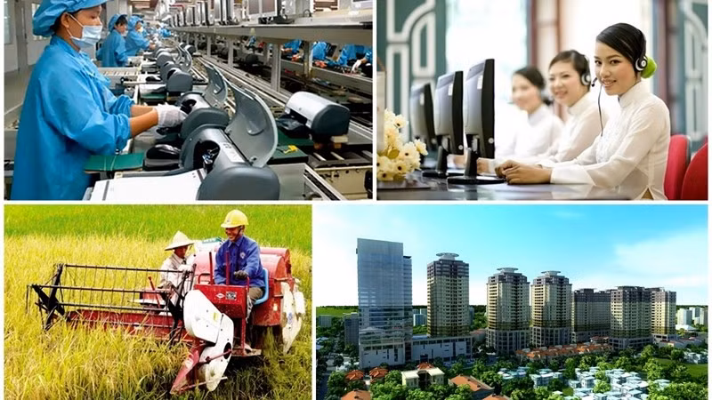 Amélioration de l’efficacité de l’utilisation des ressources de l’économie ảnh 1
