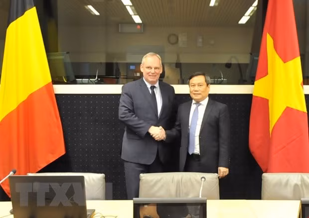 Vietnam et Belgique resserrent leur coopération économique ảnh 1