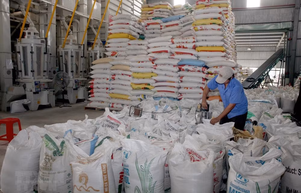 Le Vietnam exporte 2,83 millions de tonnes de riz en cinq mois ảnh 1 Le Vietnam exporte 2,83 millions de tonnes de riz en cinq mois ảnh 1