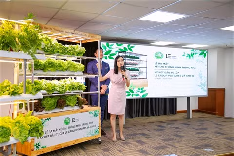 Une start-up conçoit une étagère à légumes intelligente ảnh 1