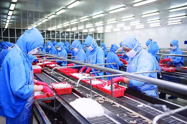 Les exportations de crevettes devraient prospérer au 2e trimestre ảnh 1