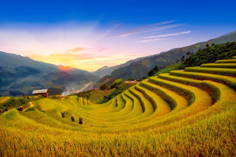 Travel Pulse présente un aperçu du tourisme vietnamien ảnh 1