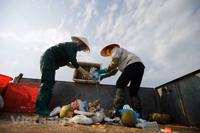 Nécessité d'une action drastique des localités pour réduire les déchets plastiques urbains ảnh 2 Nécessité d'une action drastique des localités pour réduire les déchets plastiques urbains ảnh 2