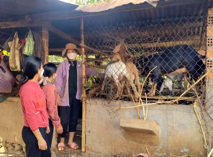 Des moyens de subsistances durables pour les femmes ethniques ảnh 1