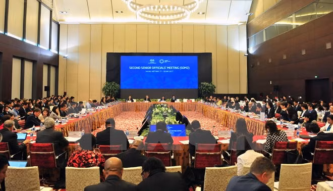 Le SOM 2 discute des priorités de l'APEC ảnh 1 Le SOM 2 discute des priorités de l'APEC ảnh 1