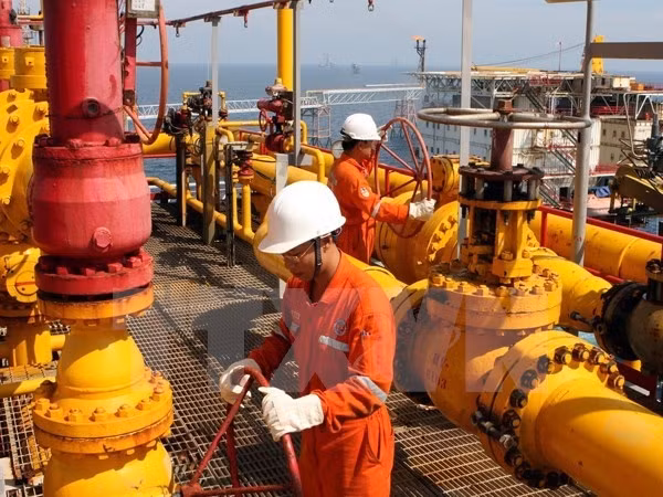 L'ASEAN coopère pour faire faire à la baisse du prix du pétrole ảnh 1