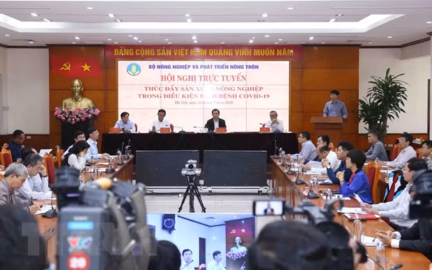 Promotion de la production agricole pour répondre à la consommation domestique et aux exportations ảnh 1
