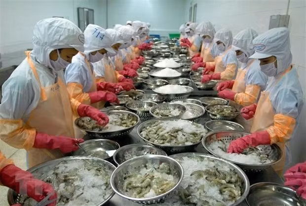 UKFTA : les exportations de crevettes vers le Royaume-Uni pourraient atteindre une croissance à deux chiffres ảnh 1